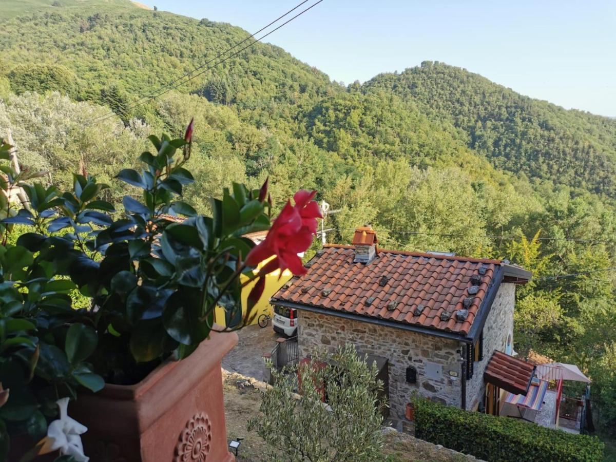 Deliziosa Casetta Sull'Appennino Toscano Montefegatesi Zewnętrze zdjęcie
